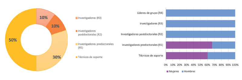 6.6.2-DES INN INGENIERÍA MED-GÉNERO